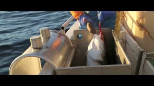 Video: Nordic Naturals Documentary Links Manufacturing Process to Product Quality