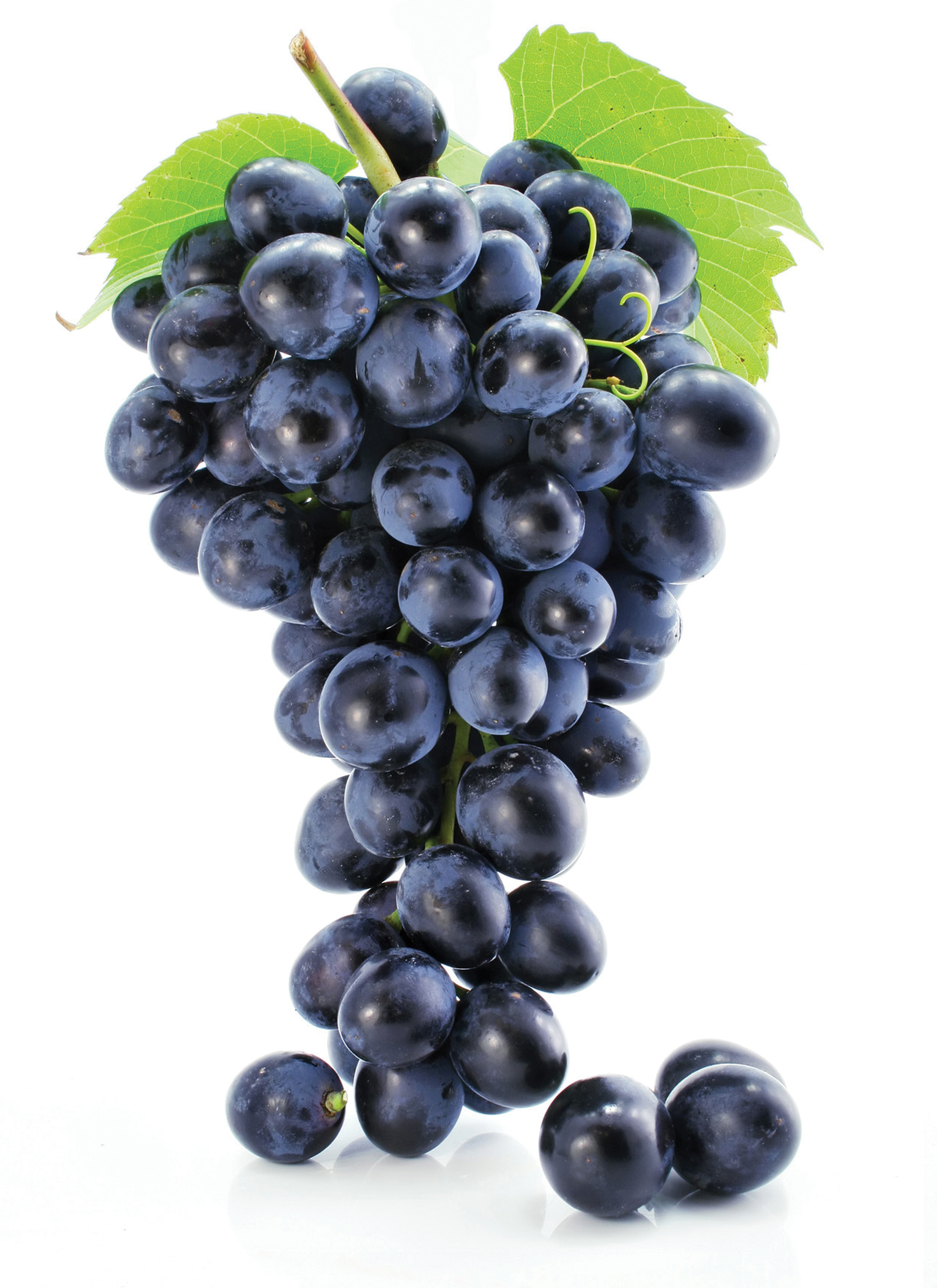 Grape Seed Extract Benefits Grow Widely