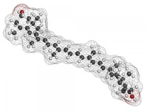 OmniActive Sponsors Article on Role of Lutein/Zeaxanthin