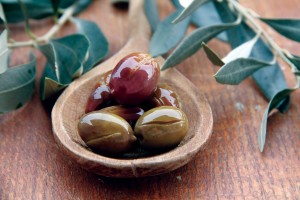 Olive Compound Offerings