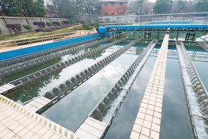 Summarizing Sanitation