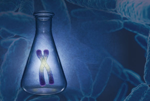 Healthy and Amazing Aging