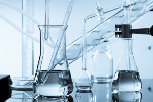 Building Trust Through Transparency