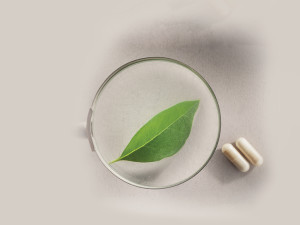 The State of Sourcing and Ingredient Purity, continued.