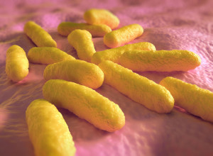 Expanding Applications for Pre- & Probiotics