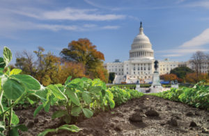 Washington & The Natural Industry