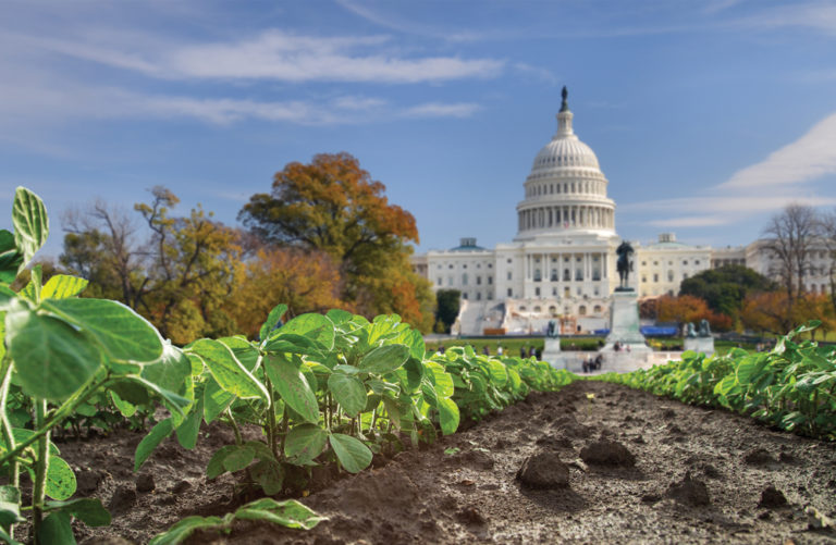 Washington & The Natural Industry