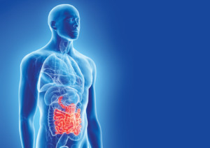 Feeding Gut Microbiota: Nutrition, Probiotics Key Factors for Digestive Health