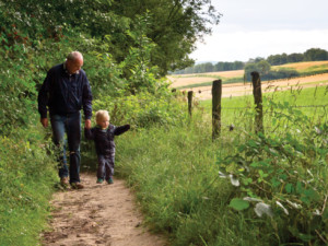 Probiotics Improve Cognition in Alzheimer’s Patients