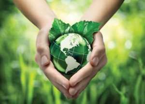 Global Supply Chain Management: A Clear View?