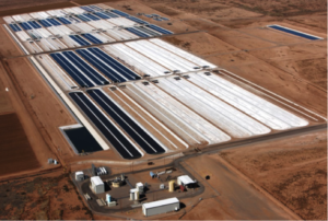 Qualitas Health Announces Production Partnership to Triple Algae Production