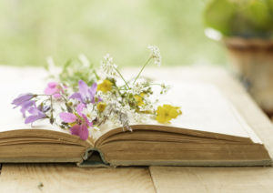 Storyshowing vs Storytelling in Natural Products Transparency