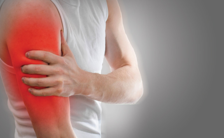 Bone, Muscle & Joint Health