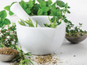 Herbs & Botanicals Bowl