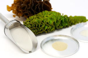 Researchers Develop Novel Microencapsulation for Fish Oils