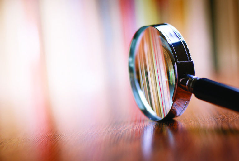 2019 Industry Forecast