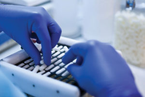 Combining Ingredients: Creating New Generation Supplements