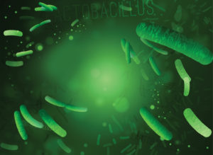 Probiotic Application Challenges & Opportunities