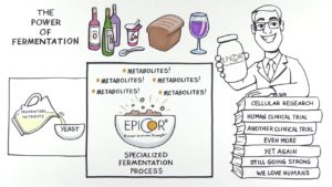 Sponsored Video: The Power of Fermentation – What is EpiCor?