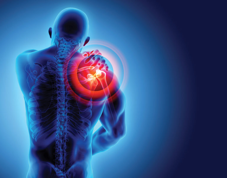 Bone, Muscle & Joint Health