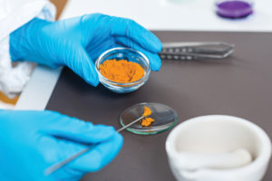 Using Enzymes to Help Meet Consumer Demands in the F&B Industry Today and Into the Future