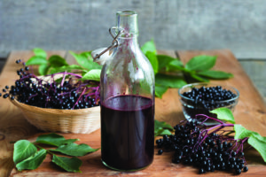 elderberry-300x200