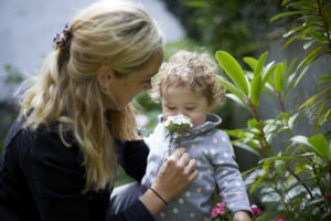 Arla Foods Ingredients Cuts Its CO2 Emissions