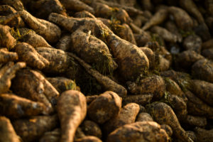 Sensus Plans to Expand Production Capacity