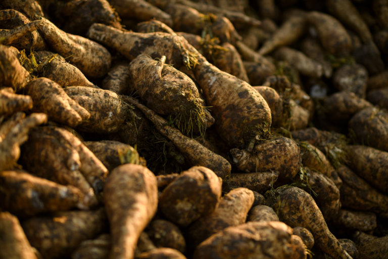 Sensus expanding capacity - picture