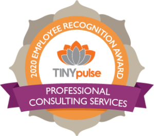Recognition - Professional Consulting Services