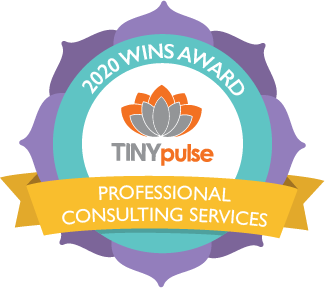 Wins – Professional Consulting Services