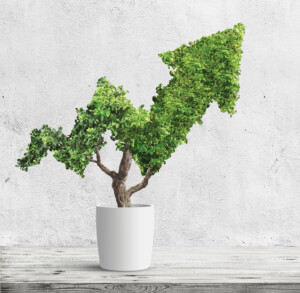 Revisiting The Green Imperative