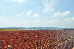 BGG World Announces Completion of Astaxanthin Capacity Expansion