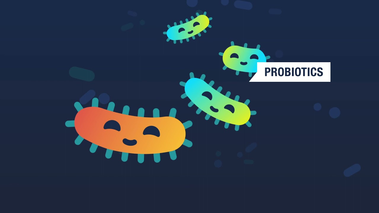 Sponsored Video: What are postbiotics and how are they different from pre- and pro-biotics?