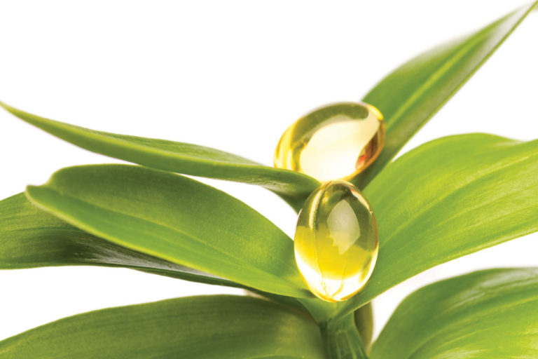 Essential Fatty Acids