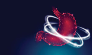 Easy to Digest: Ingredients for Gut Health