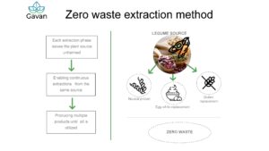 Gavan Develops Zero-waste Plant Protein Extraction