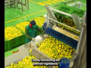 [Sponsored Video] Bergamonte<sup>®</sup>: Italian SuperCitrus. Cardioprotective Science, History, Sustainability. From HP Ingredients.