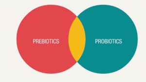 Sponsored Video: Immune Support with EpiCor<sup>®</sup> postbiotic