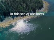 Sponsored Video: Acadian SeaPlus Ingredients deliver an ocean of wellness!