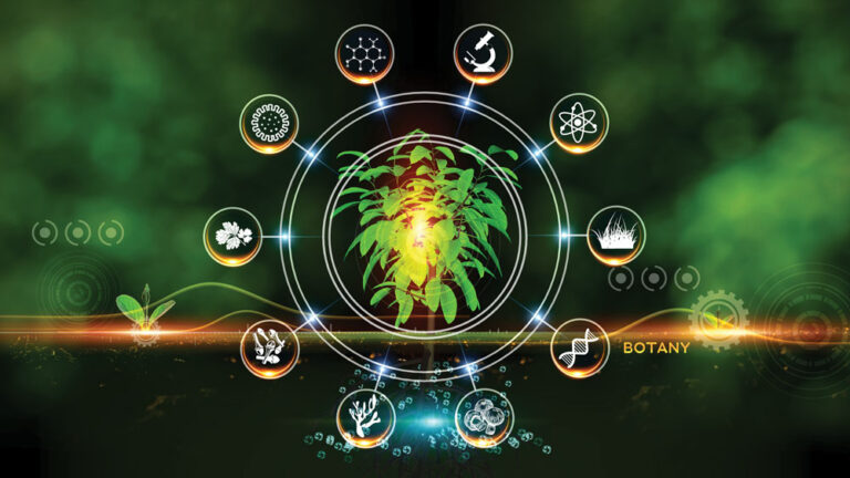 Sustainable Nutrition