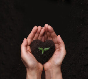 Botanicals Today … Continued