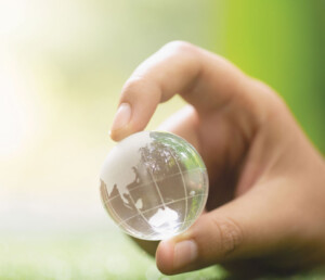 Compliance in the Global Nutraceutical Market: Ensuring Consumer Safety and Business Success