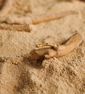 [Sponsored Content] Introducing Ashwagandha Wisdom