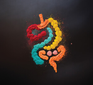 Talking Digestive and Microbiome Health Ingredients with Artemis International’s Melanie Bush