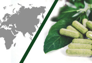 Bringing New Ingredients to Market