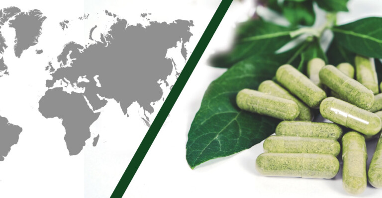 Bringing New Ingredients to Market