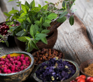 [Extra! Extra!] Botanical Adulteration