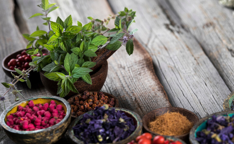 Herbs and Botanicals
